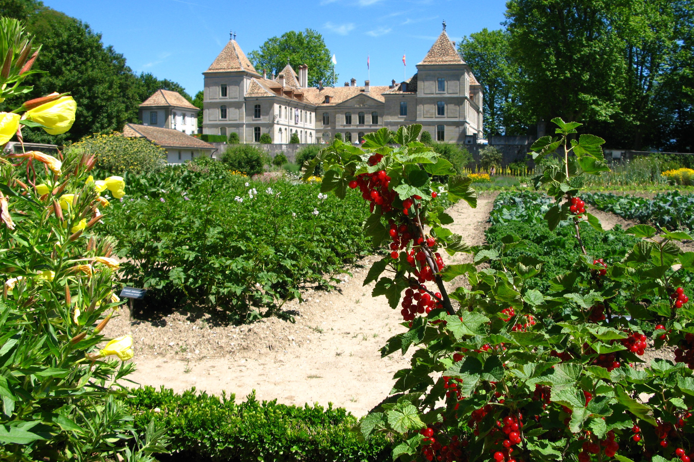 Le Musée national suisse château de Prangins